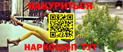 крисы Кунгур