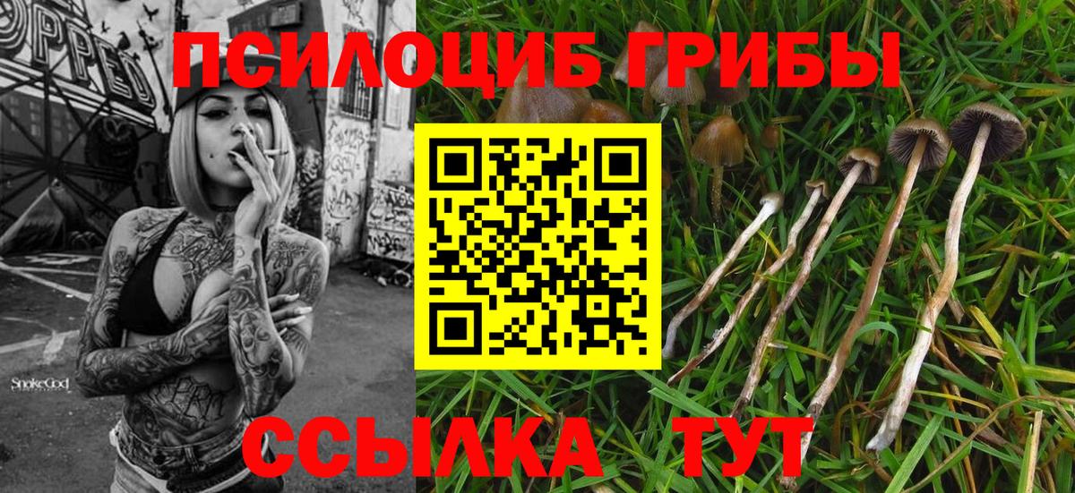 Калуга  Галлюциногенные грибы мухоморы  Вход с VPN 